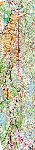 leg16s.jpg (41560 bytes)