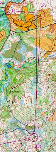 leg21s.jpg (43635 bytes)