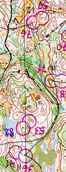 leg12s.jpg (24626 bytes)