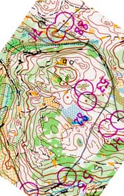 leg16s.jpg (27883 bytes)